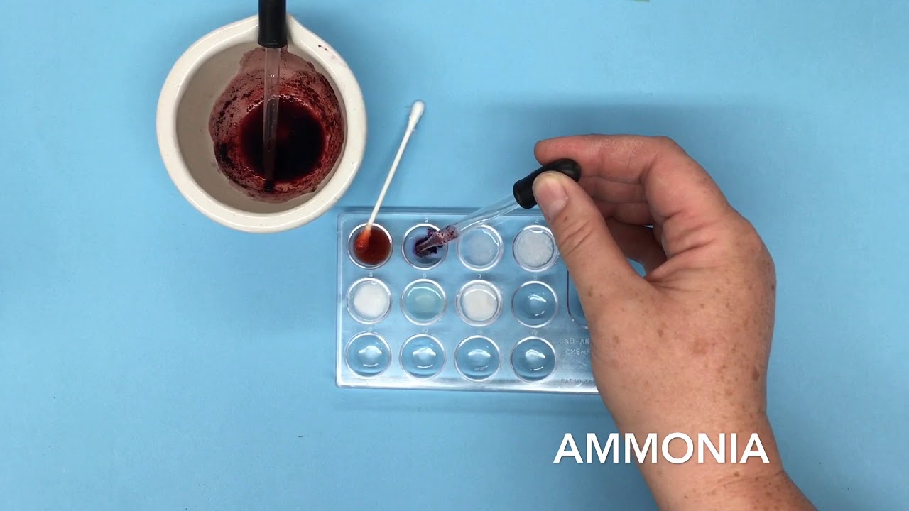 Cochineal Insect Chemistry