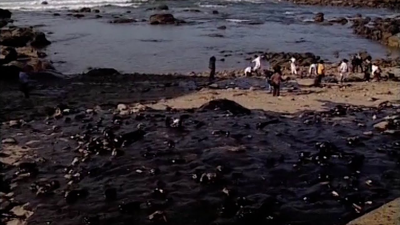20 años de la catástrofe medioambiental del hundimiento del Prestige