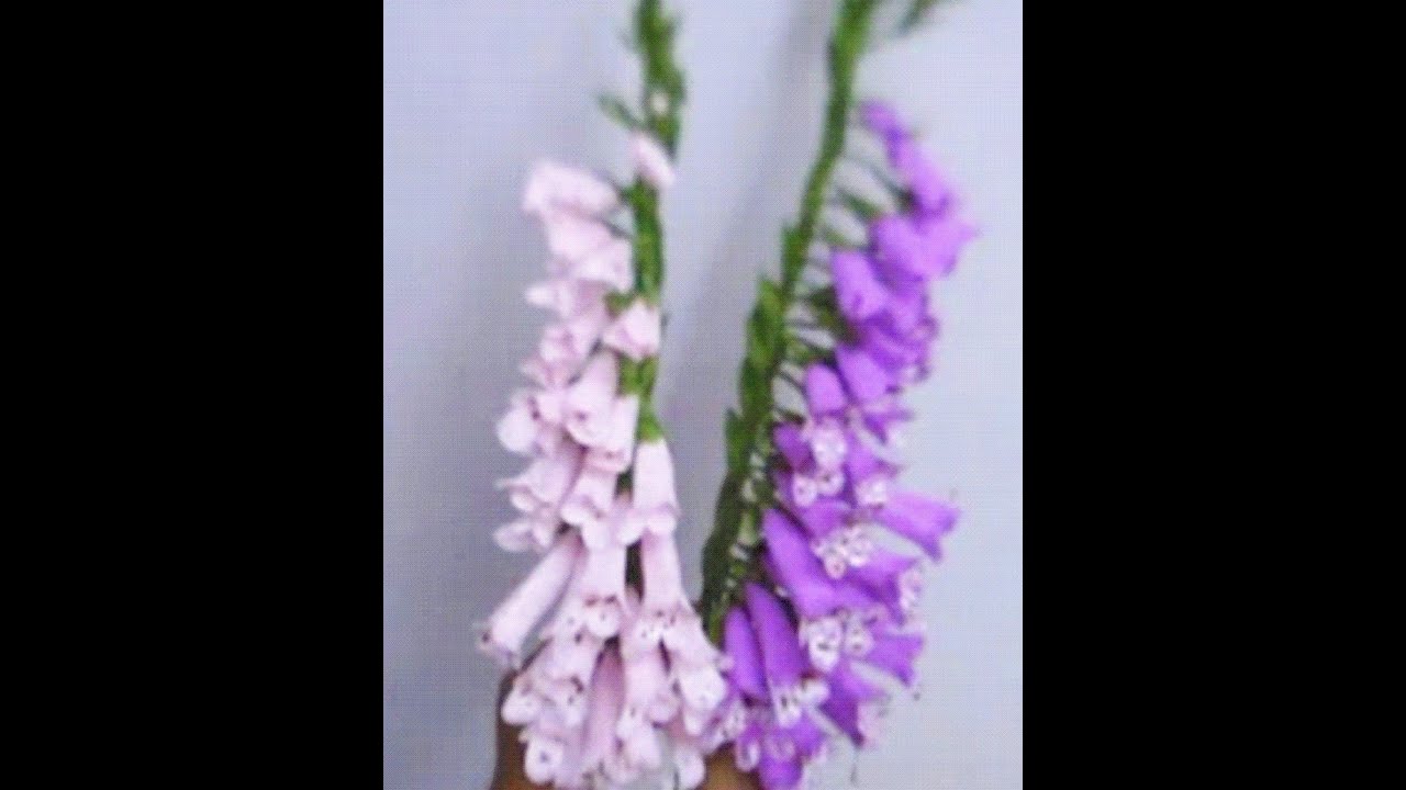 How to make Paper Flower Foxgloves / Digitalis (Flower # 50)
