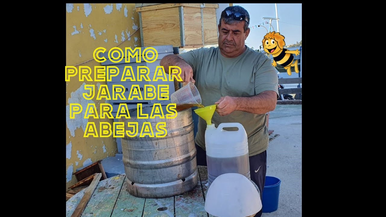 Jarabe para estimular la reina / José Gálvez / Apicultura