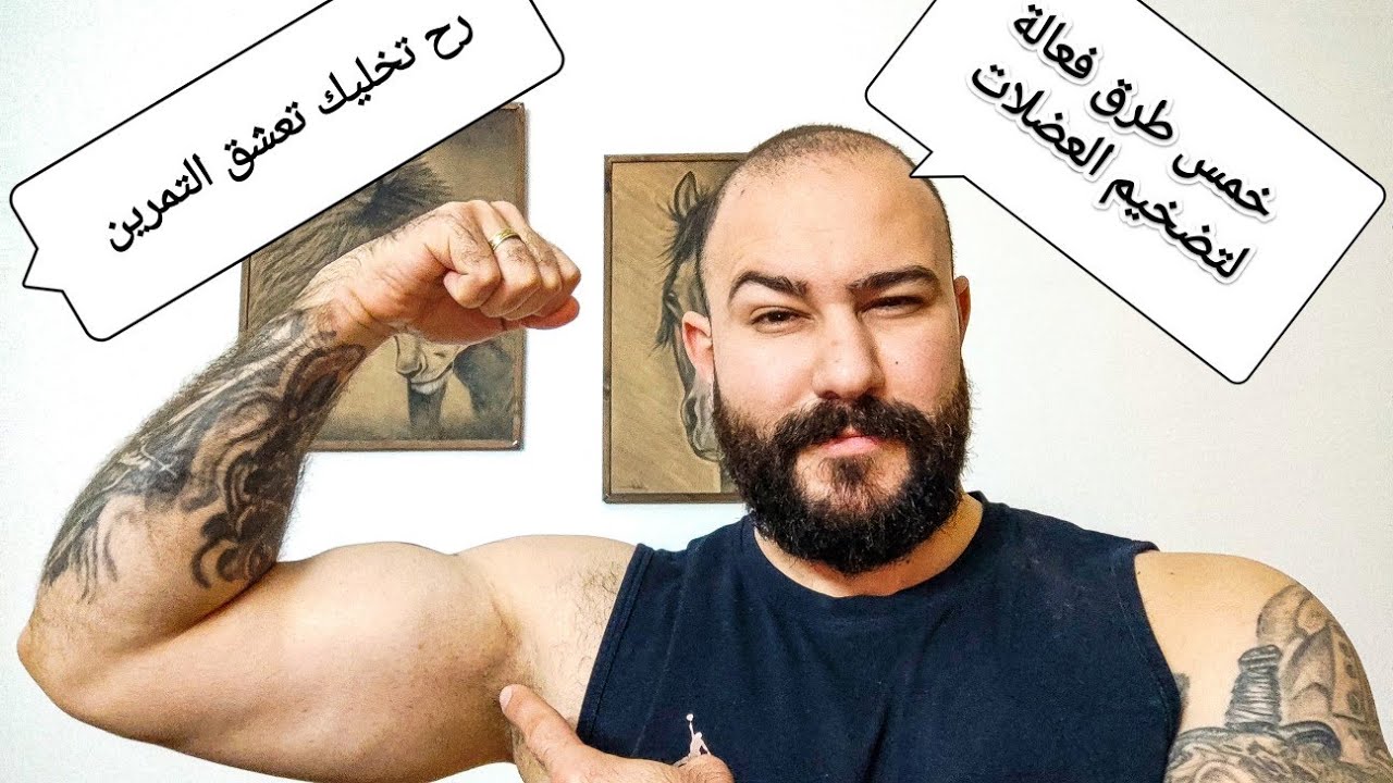 خمس خطوات||مهمة للمبدتئين!؟