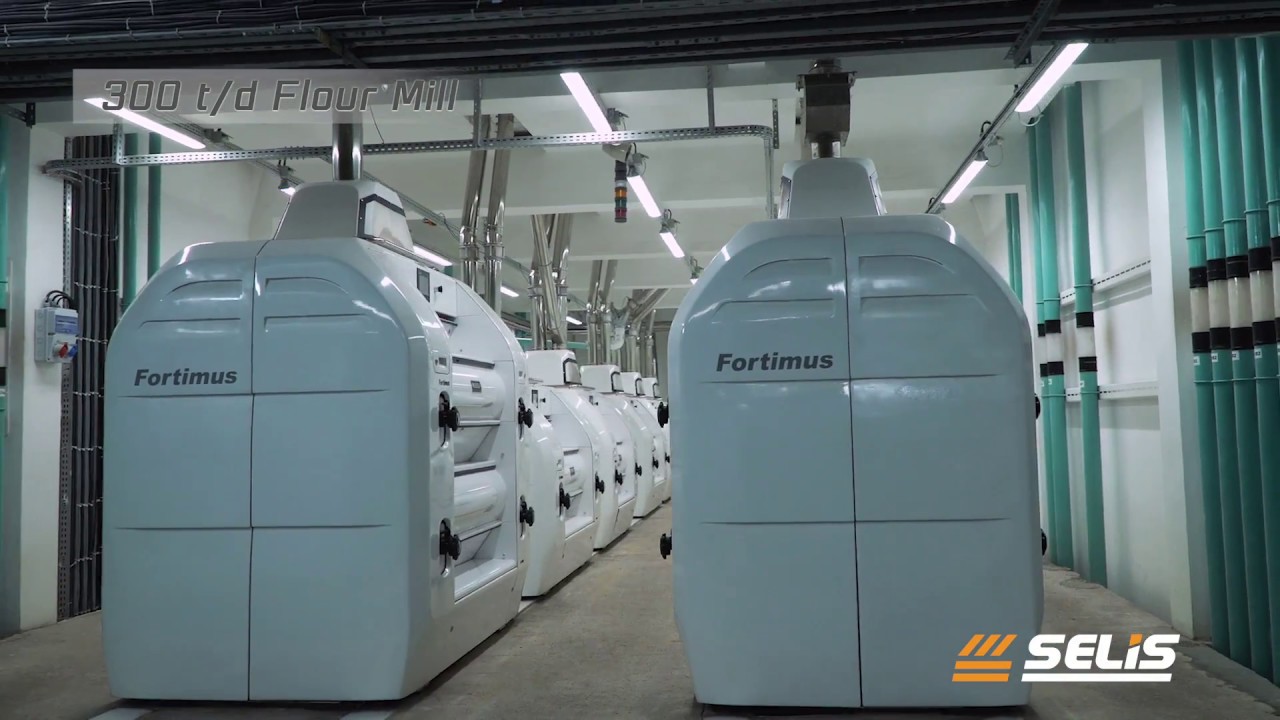 SELIS - 300 T/24H FLOUR MILL