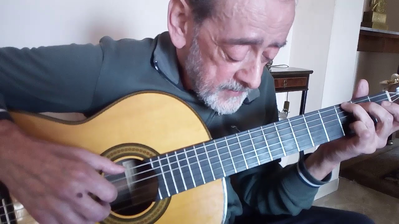 Letto 26 consigli per chitarra Giuseppe Capannini - Stefano Rosso cover tutorial