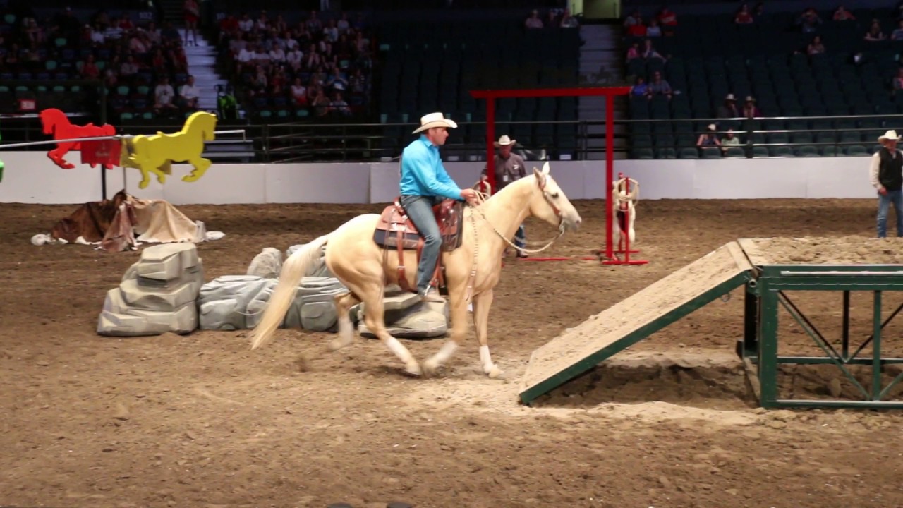 David Cowley - 2017 Calgary Stampede Cowboy Up Dog & Pony Team Challenge