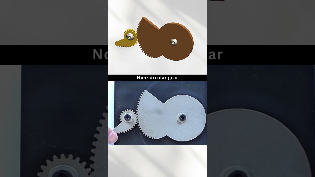 Special Purpose Non-Circular Gear #mechanical #gear #mechanism #3ddesign #solidworks #3d