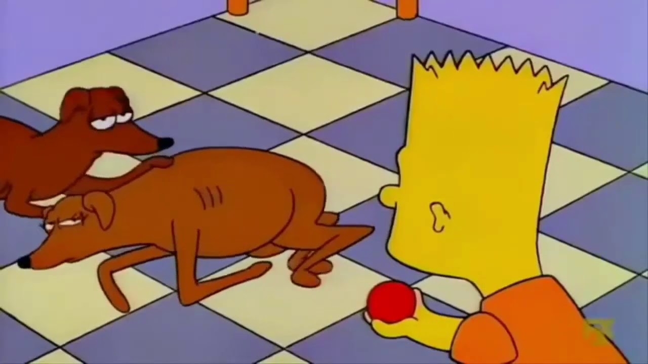 Nacen 25 galgos! Los Simpson