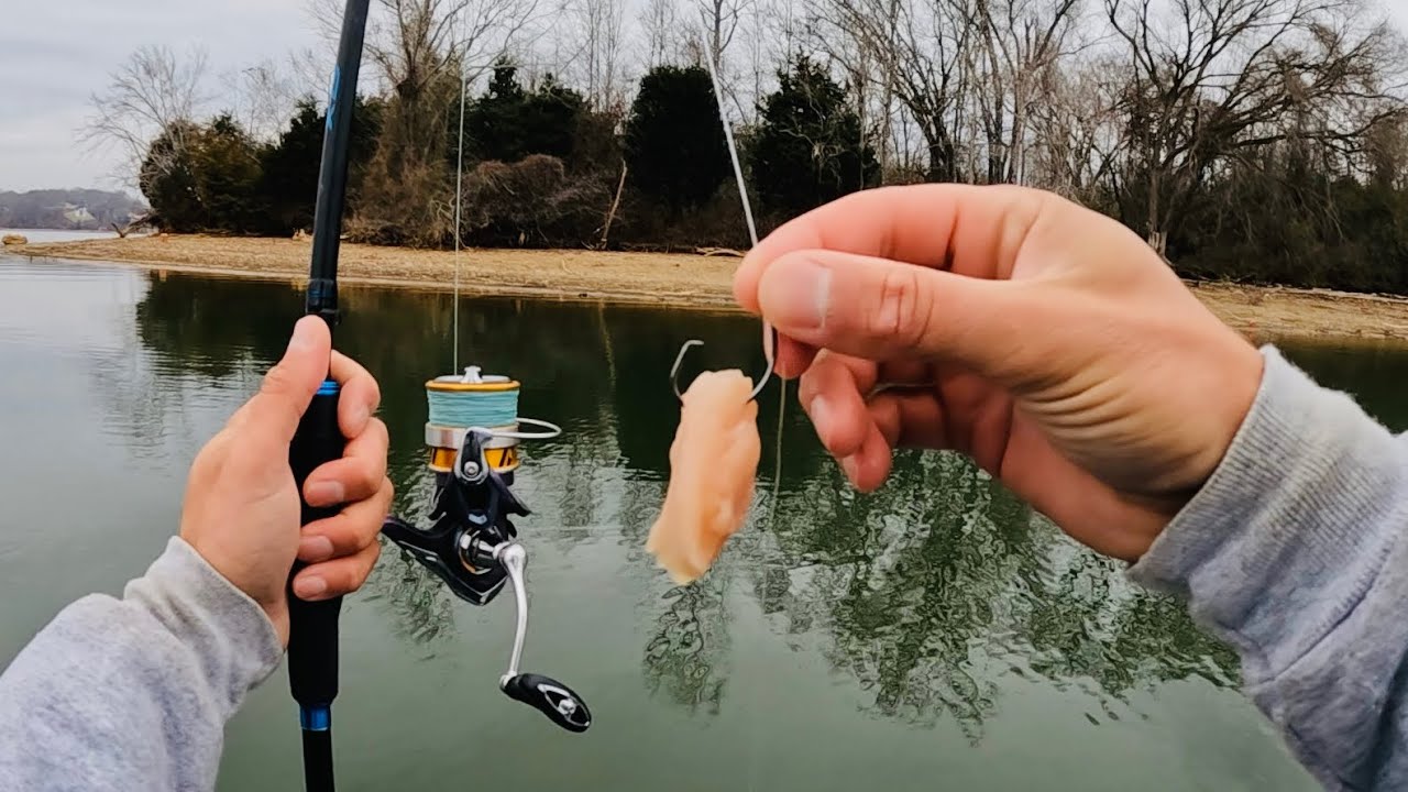 4 Hours of RAW and UNCUT Light Tackle Catfishing with Chicken and Crappie Jigs