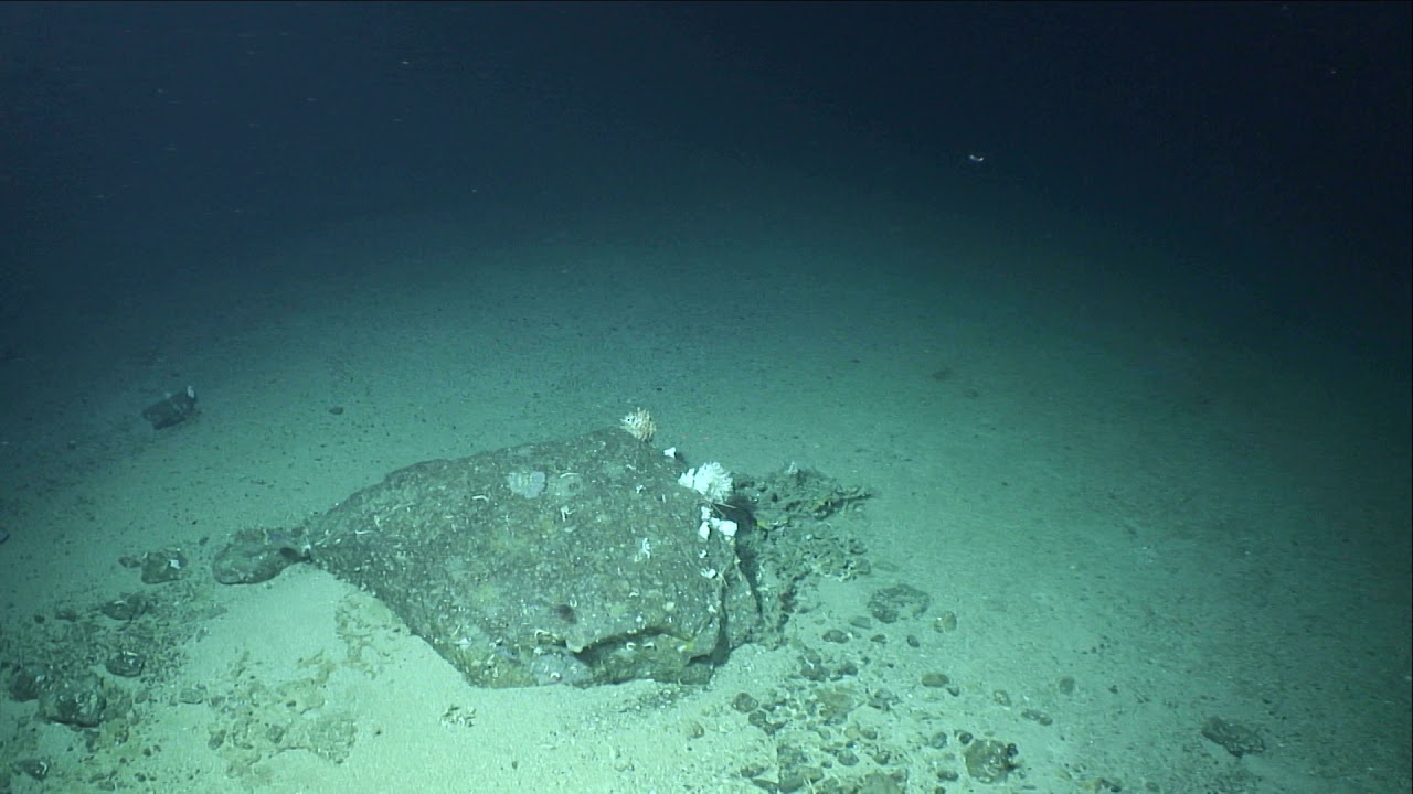 SeaRover 2017. D457 T42 HD 07072017. Copyright Marine Institute.