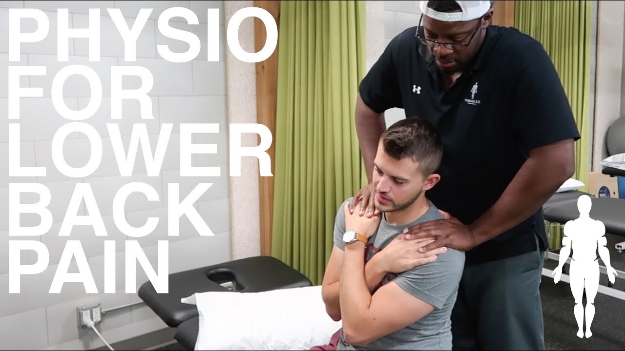 Physiotherapy for LOWER BACK PAIN: Human 2.0 assessment and exercises (a case study)