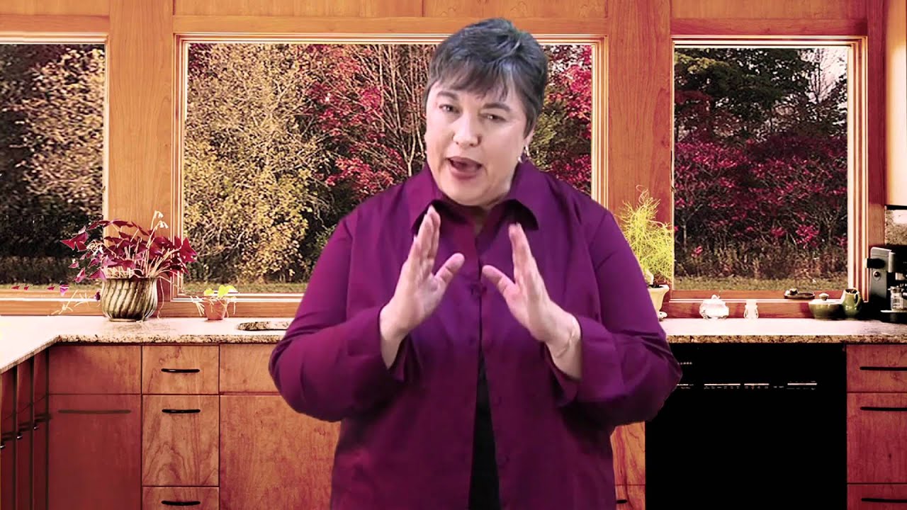 FlyLady TV 2