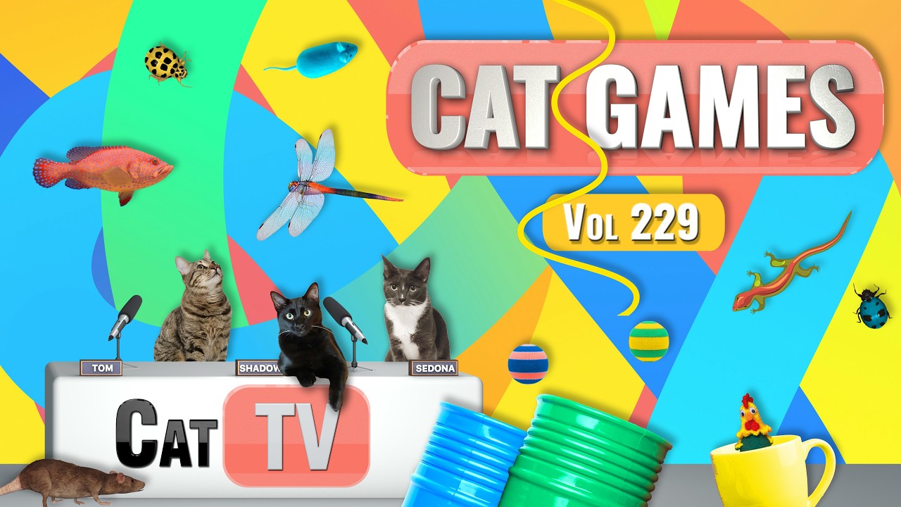 Игры с котами | Подборка лучших кошачьих телепередач, том 229 | 8 часов 🐝🐞🦋🦎🦜🐜🐭🧵