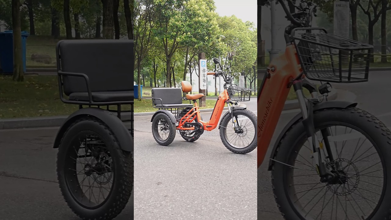 electric power-assisted bicycle Manned electric power-assisted tricycle! 