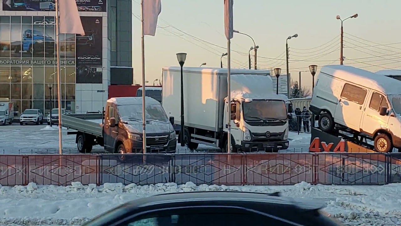 ПРИЕХАЛ В НИЖНИЙ НОВГОРОД. ОДОЛЕЛИ КРЫСЫ