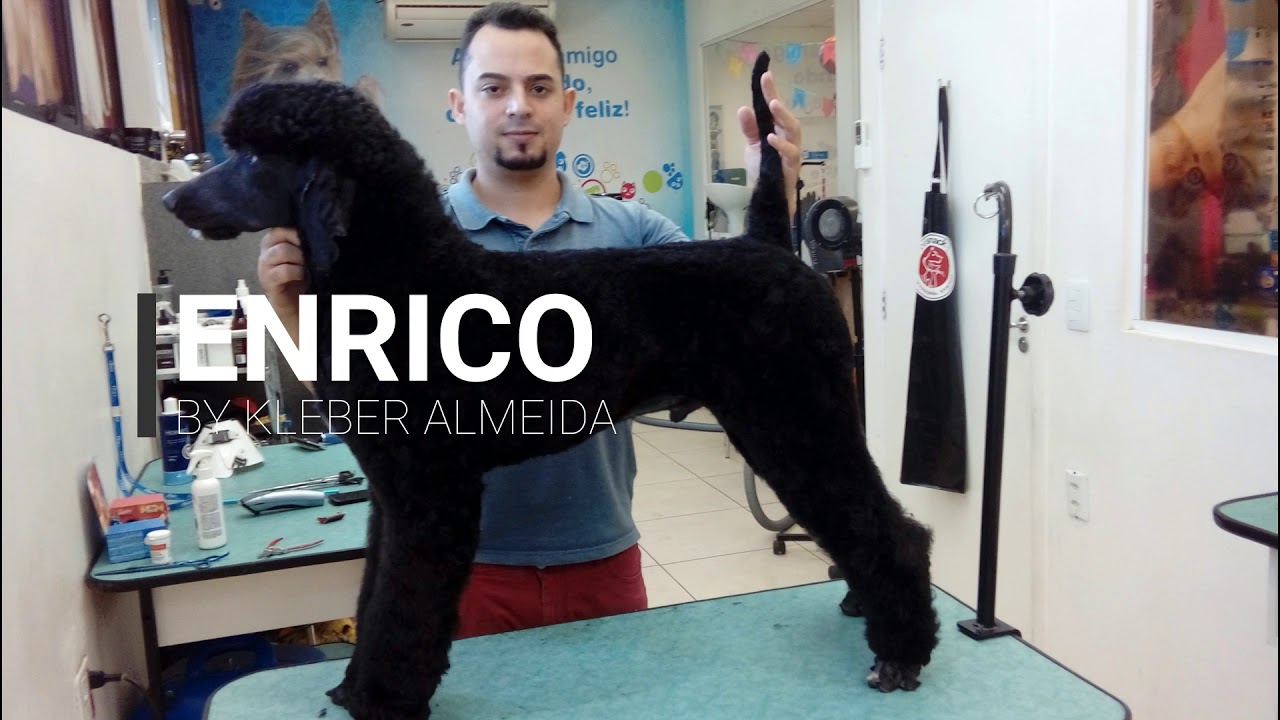 ENRICO  0 a 9 meses
