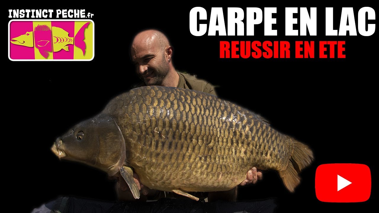 CARPE EN LAC 
