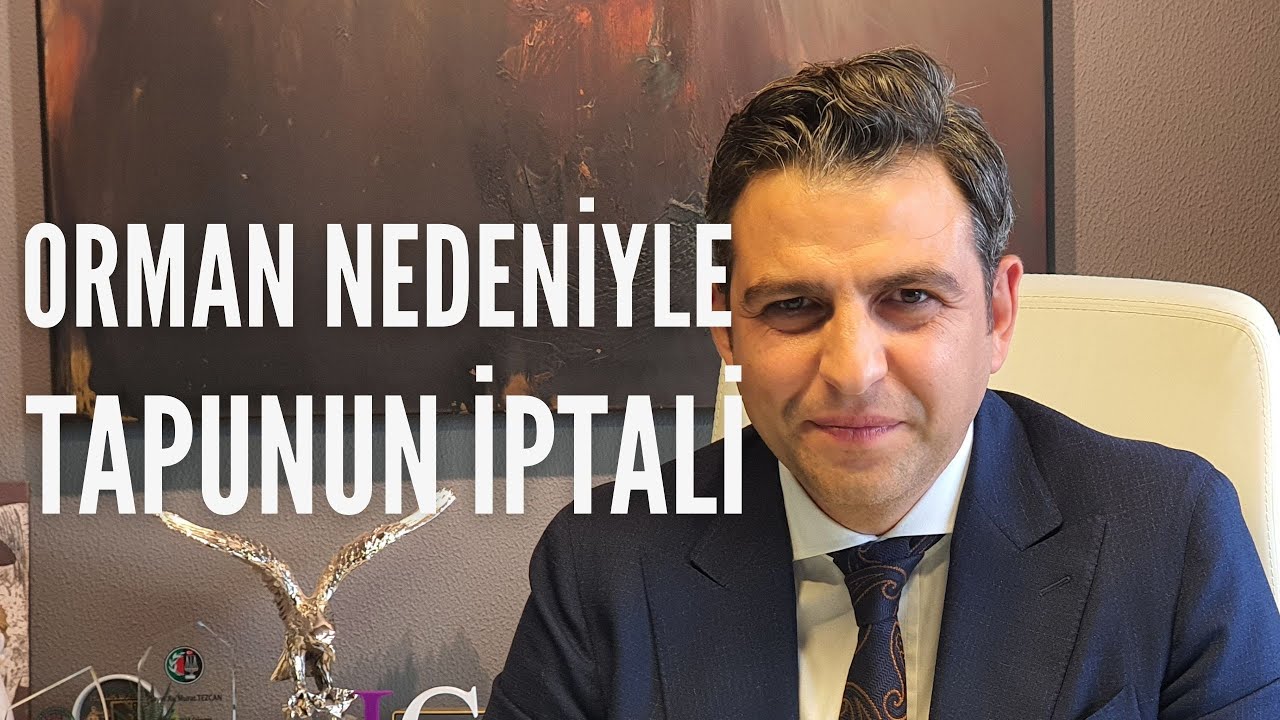 ORMAN ARAZİSİ OLMASI NEDENİYLE TAPU İPTAL TESCİL DAVALARI