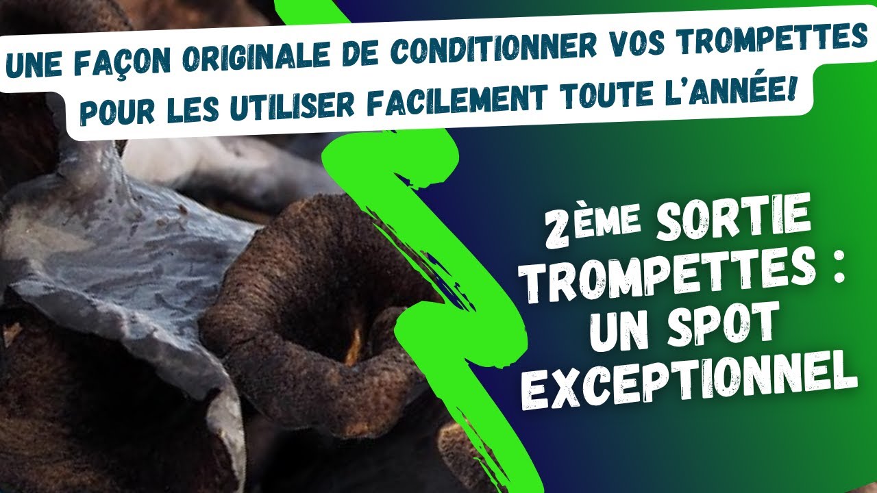 Deuxième sortie trompettes 2025 : un spot exceptionnel !