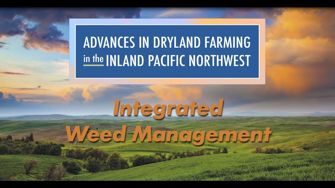 Integrated Weed Management with Ian C. Burke