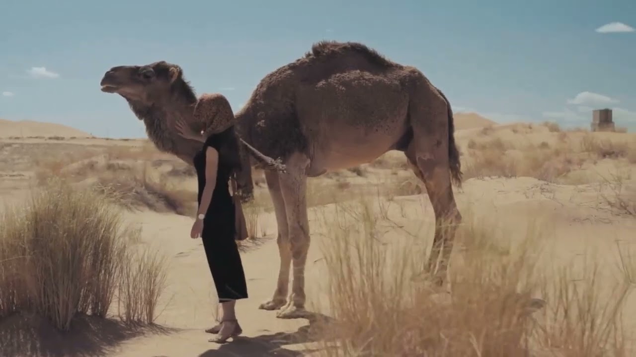 How Climate Change Could Lead to Deadly Heatwaves in the Middle East