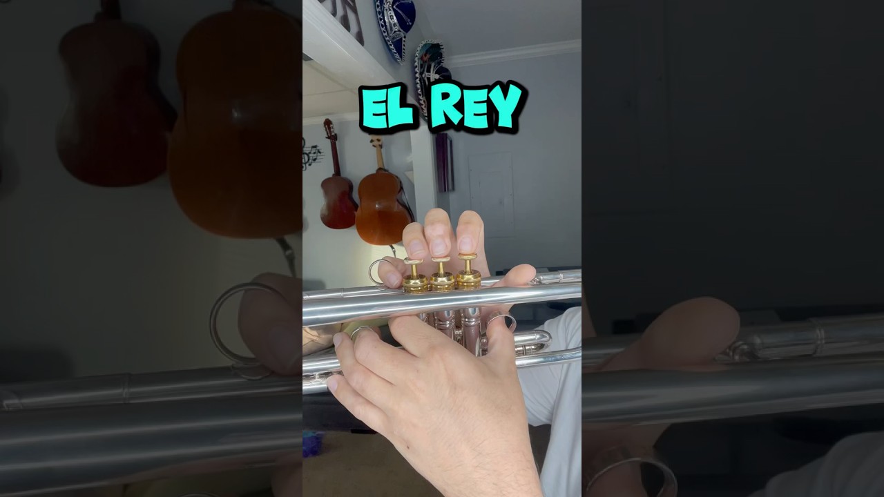 El Rey #trompeta #trumpet #mariachi