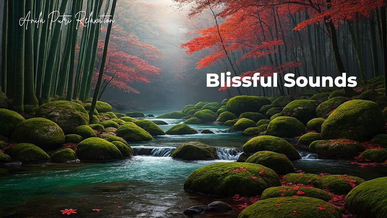 Calming Classical Music for Sleep | Soft Piano & Instrumental Relaxation