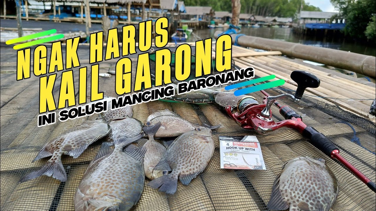Siapa bilang mancing baronang harus pakai garong. Pake mata kail juga ngak kalah hebatnya