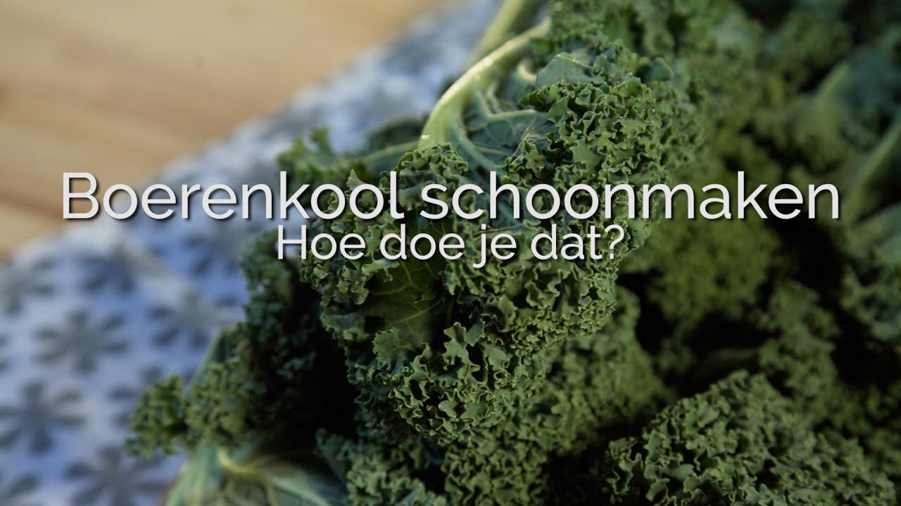 Boerenkool schoonmaken, hoe doe je dat? PuurGezond