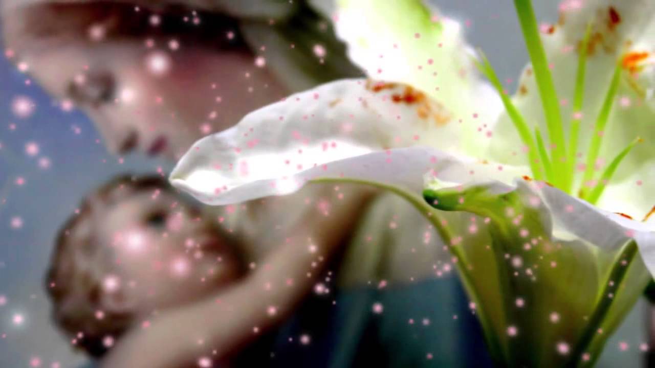 Colinde de Craciun  2014 - Florile sunt dalbe