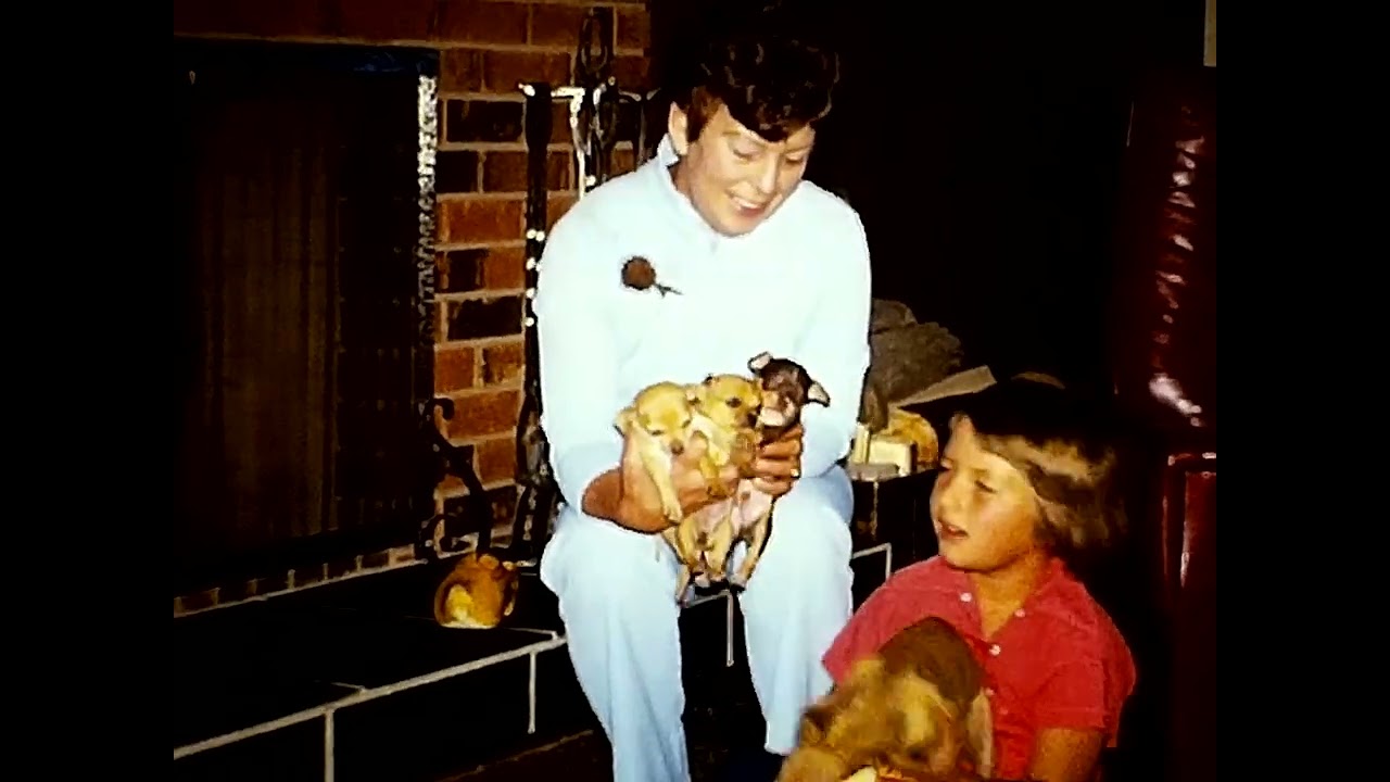 Home in Bonavista