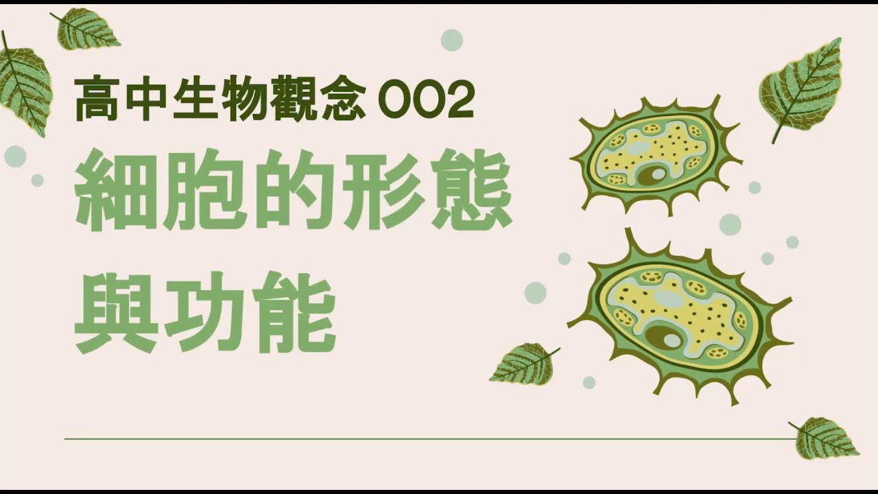 高中生物觀念002 細胞形態與功能