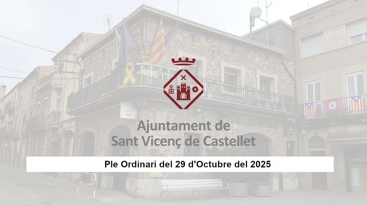 Ple Ordinari del 29 d'octubre