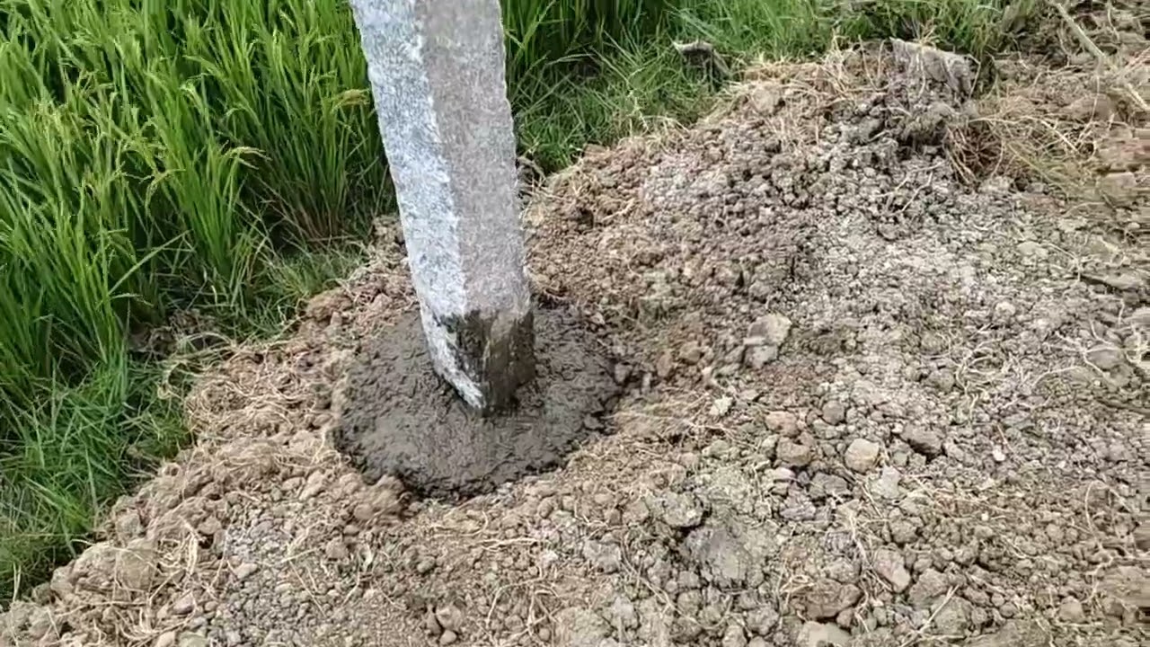 40T. விவசாய பண்ணையில் கம்பி வேலி அமைத்தல் - Diamond Fencing Work in the Agriculture Farm