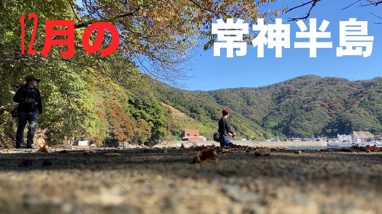 【エギングポイント紹介】福井県西部からアオリイカ、ランガンポイント紹介