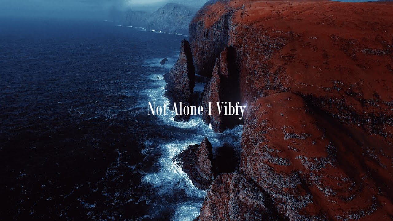 Vibfy - Not AloneI Official Music ReleaseI Visualizer