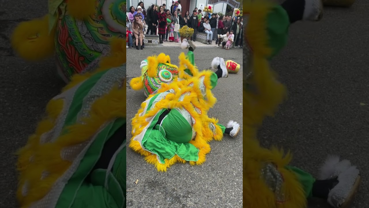 Hilarious Drunken Lion Dance Blooper - underwear showing/don&rsquo;t care 🤣