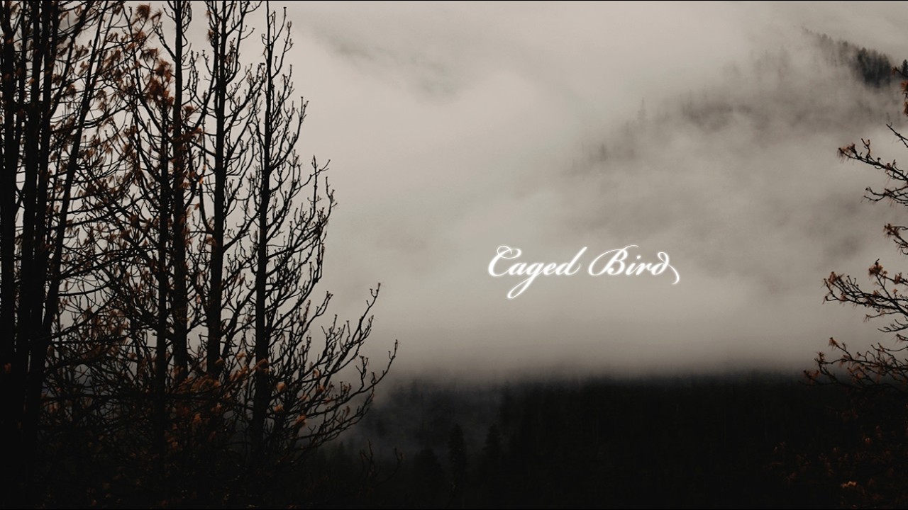Caged Bird - Maya Angelou Poem - Spoken Word Poetry