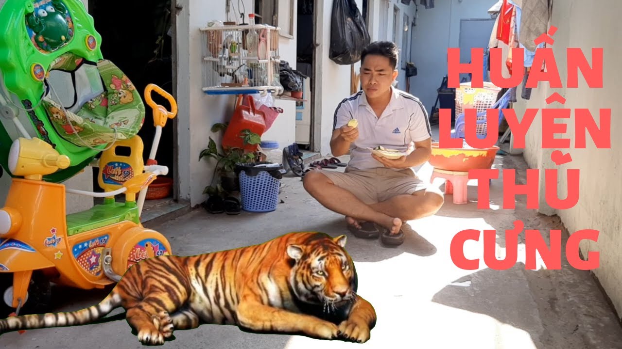 Huấn luyện th&uacute; cưng # khinguyenVlog t&acirc;m sự c&ugrave;ng mọi người về th&uacute; cưng trong m&ugrave;a thất nghiệp