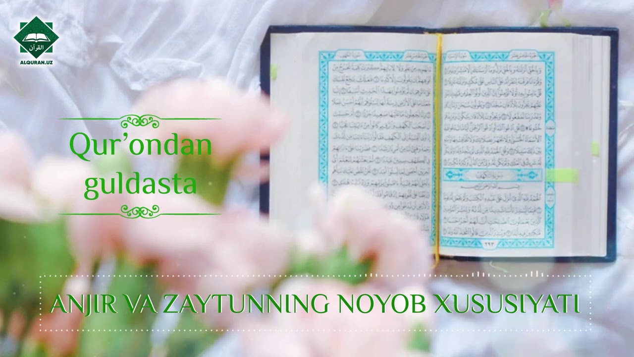 Qur'ondan guldasta - ANJIR VA ZAYTUNNING NOYOB HUSUSIYATLARI