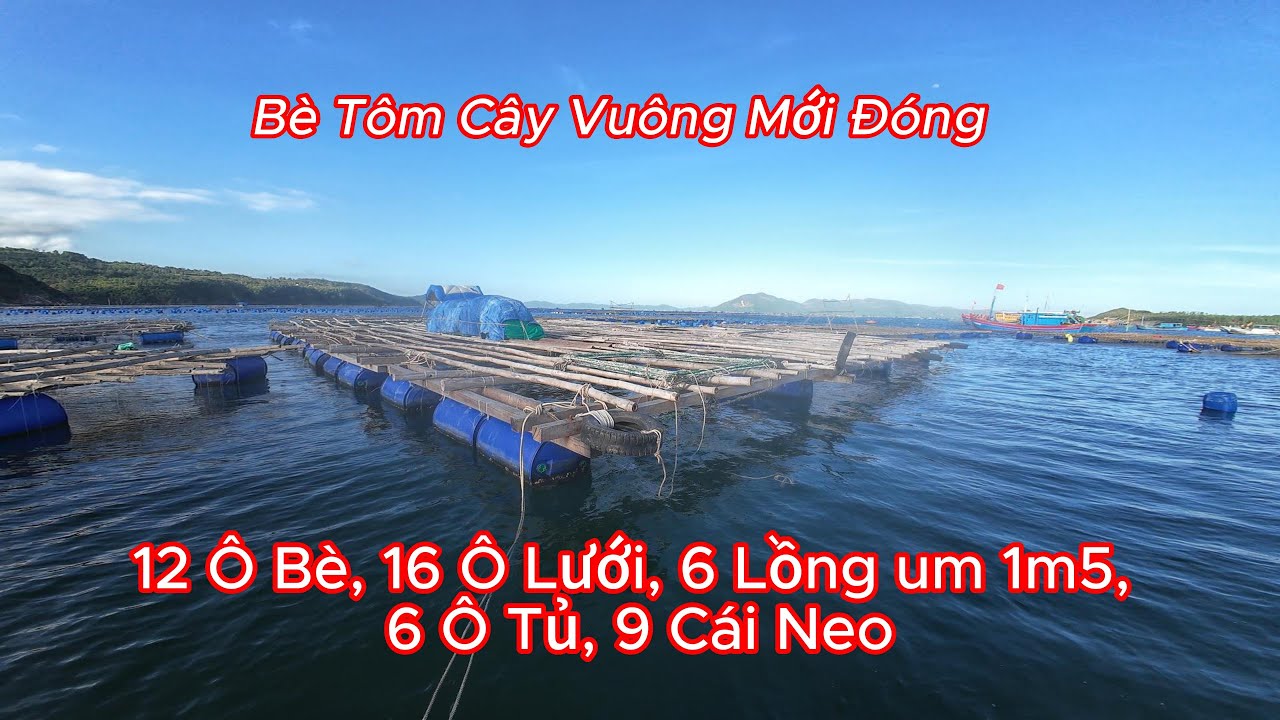 [374] Bè Này Kêu Giá 90Tr Còn Thương Lượng