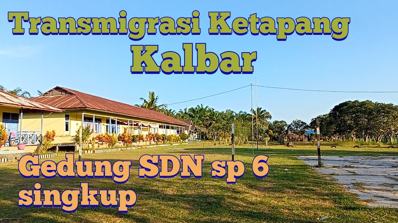 SUASANA SORE HARI DI KAMPUNG TRANSMIGRASI SP 6 SINGKUP || depan SDN singkup