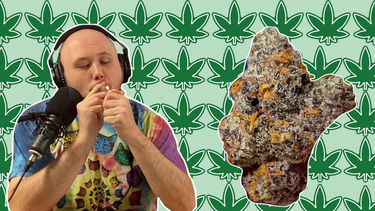 Mango Meat Review Indica Dominant