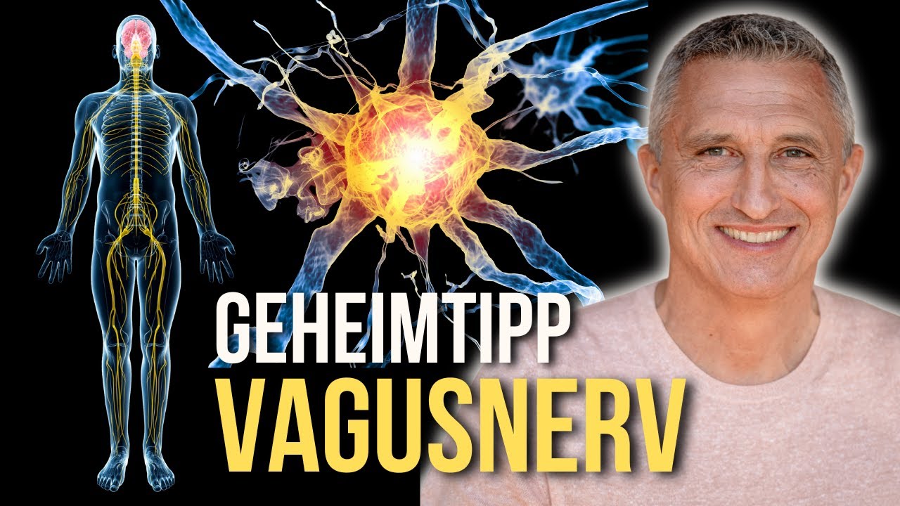 Vagusnerv: Der Atemtrick für sofortige Ruhe (funktioniert immer!)