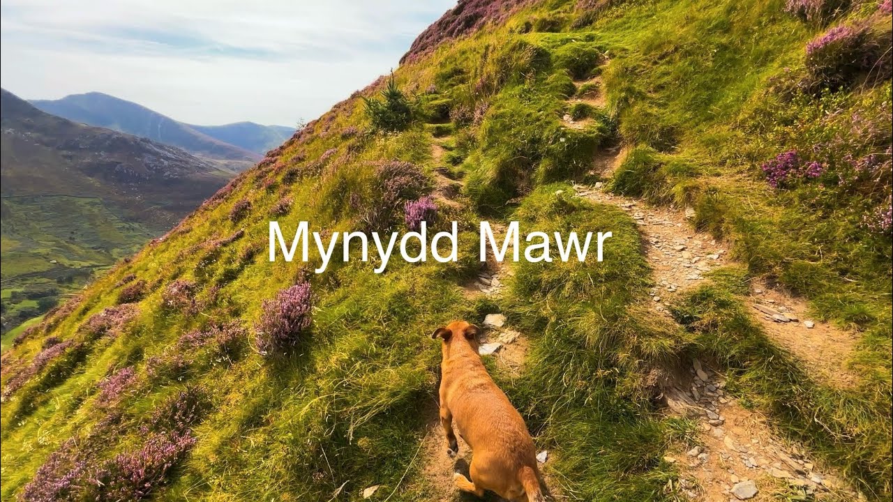 The most UNDERRATED mountain walk in North Wales - Mynydd Mawr