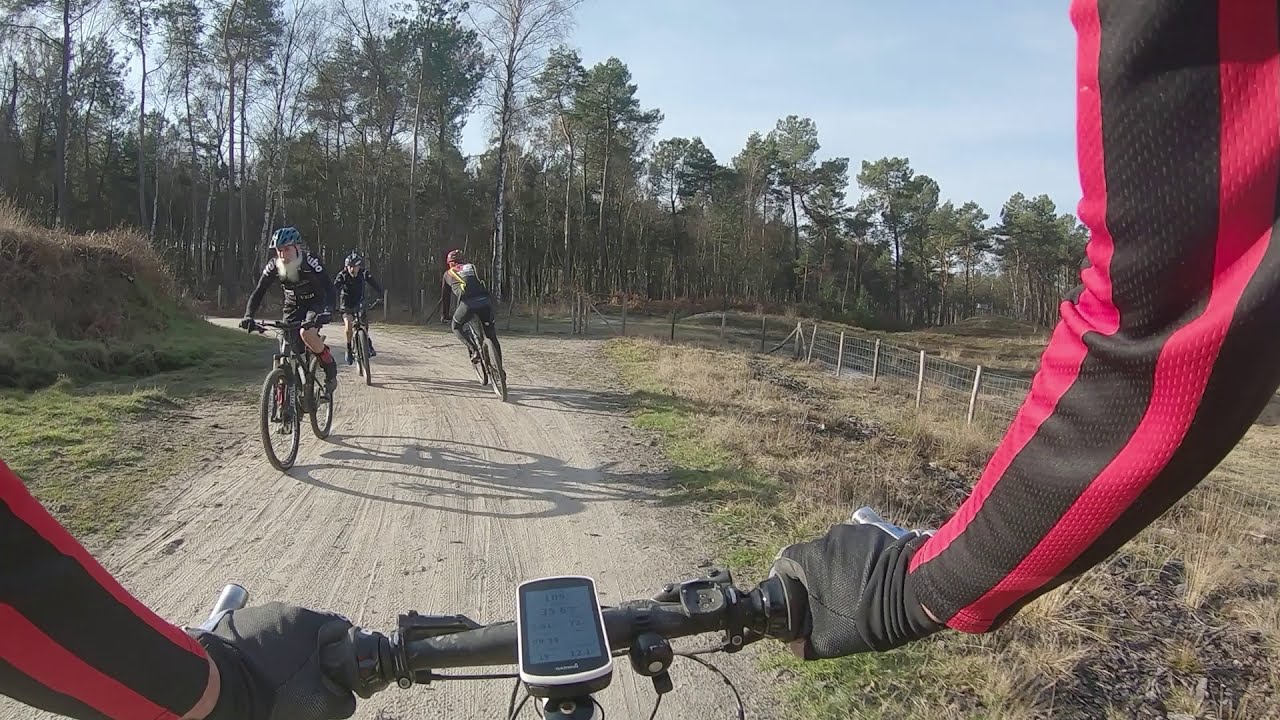 Zonhoven, groen, rood, groen.