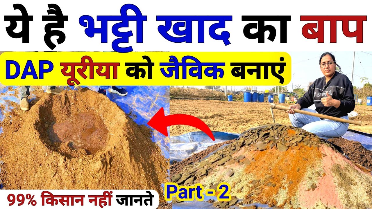 खेती में भट्टी खाद का बाप | DAP यूरिया Potash खाद को जैविक बनाएं | Bhatti khad | DAP fertilizer |npk