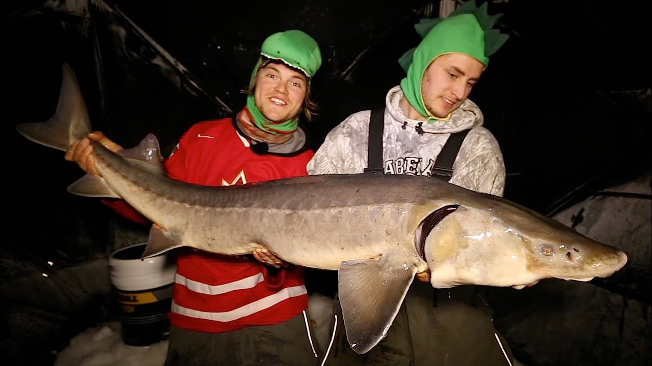 Sturgeon Ice Fishing Slugfest - Uncut Angling - February 6, 2015