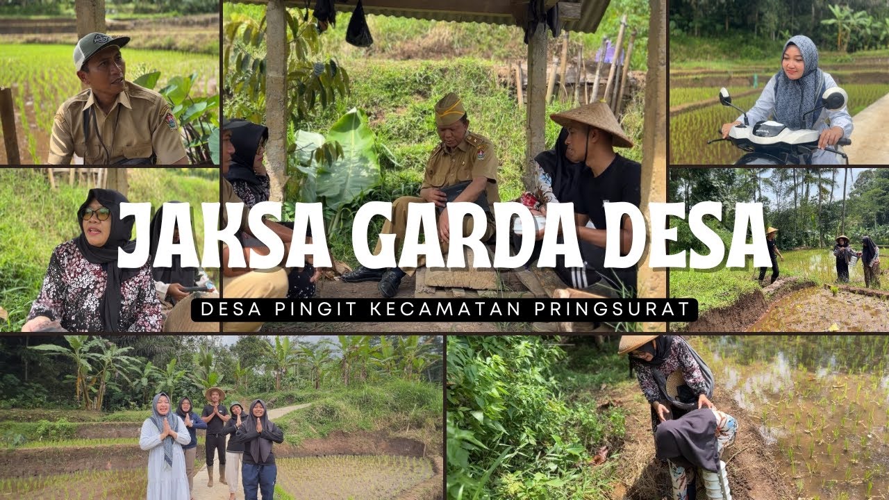 Lomba Film Pendek Jaksa Garda Desa 2025 | Desa Pingit