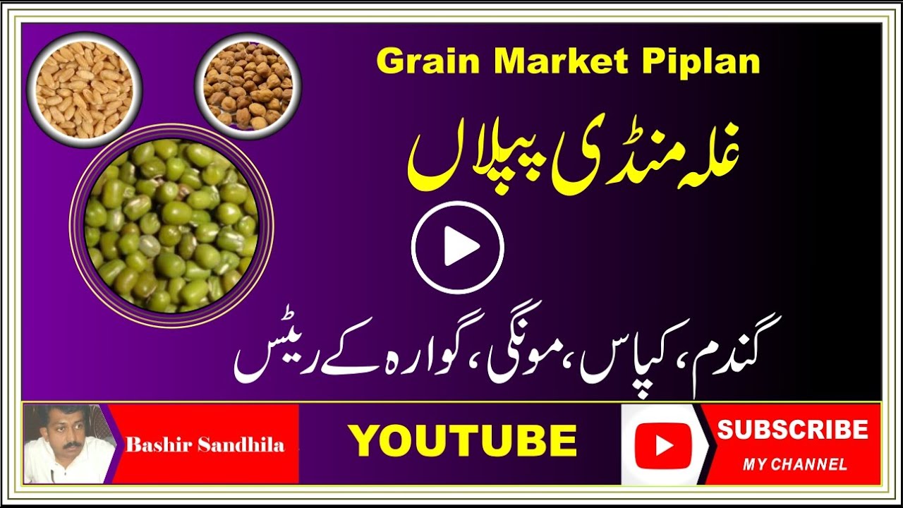 Ghala Mandi Piplan Mianwali ll Bashir Sandhila