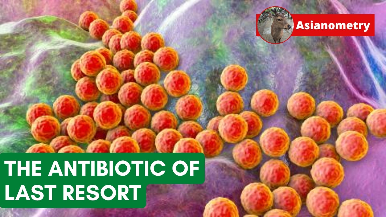 Vancomycin: The Iconic Antibiotic of Last Resort