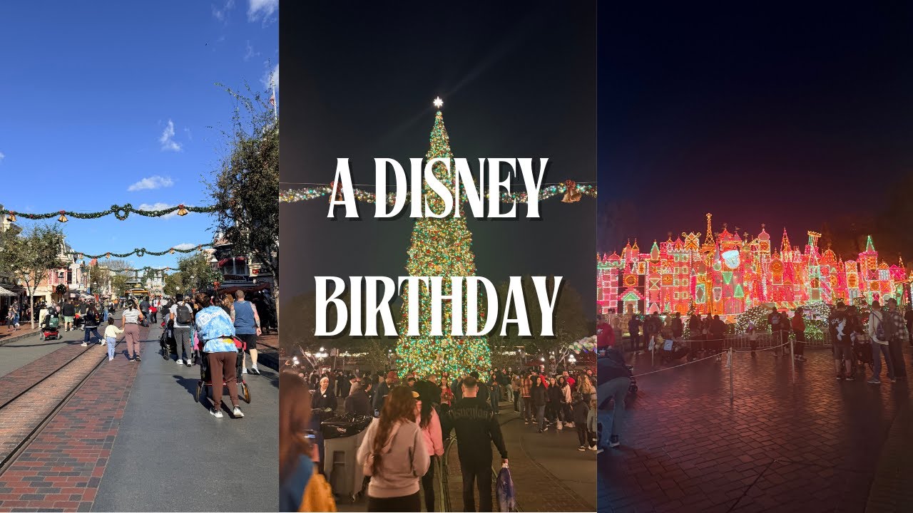 A Cozy Disney Birthday Vlog 🤍
